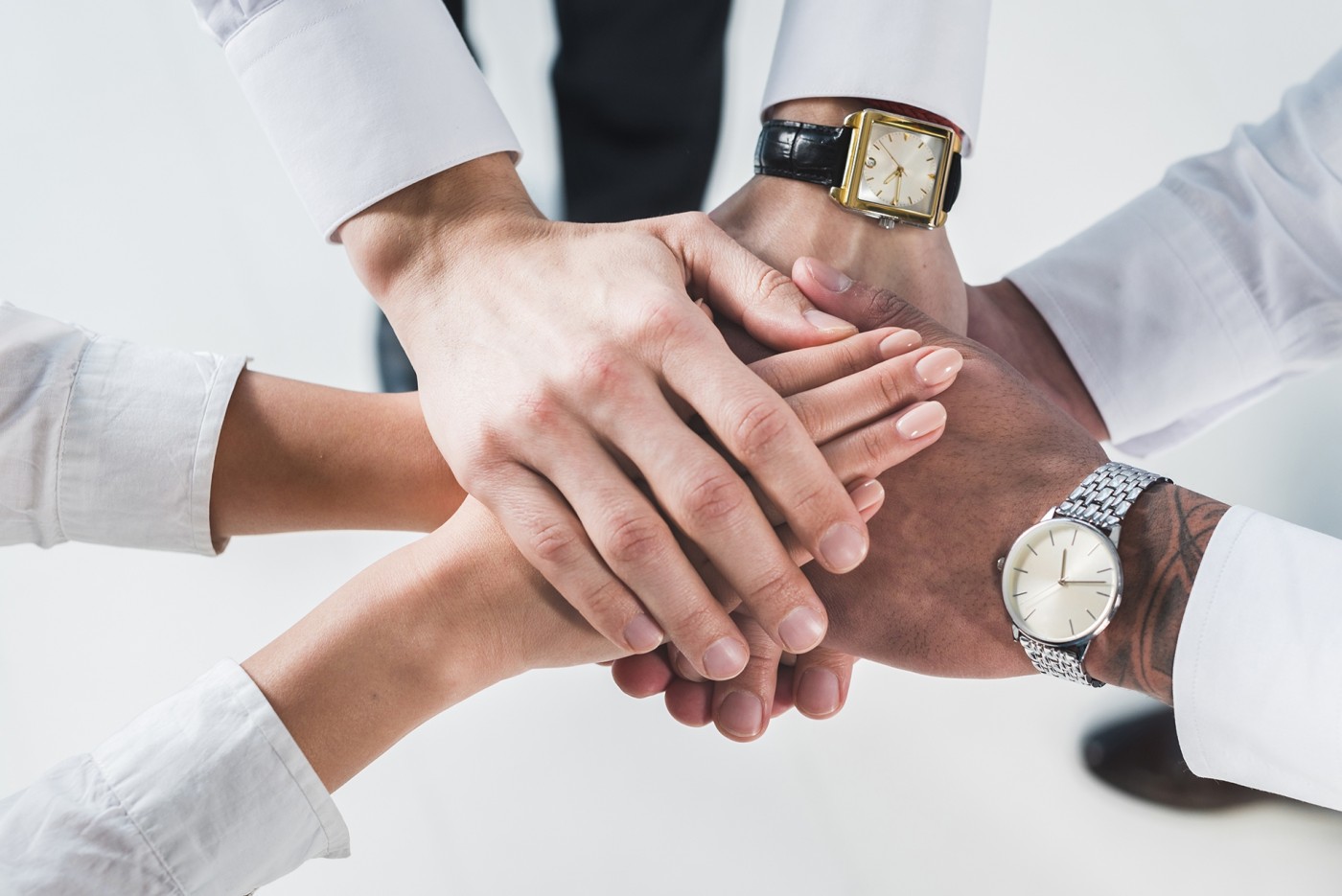 Accuredit Therapeutics and N1 Life Form a Joint Venture Named 'Napoltec', Dedicated to the Development of Therapeutic Drug Delivery Systems and Pressing Ahead Clinical Translation